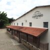 Festa da Uva e Vinícola Castanho: Um Dia Inesquecível em Jundiaí | Passeio de 1 dia