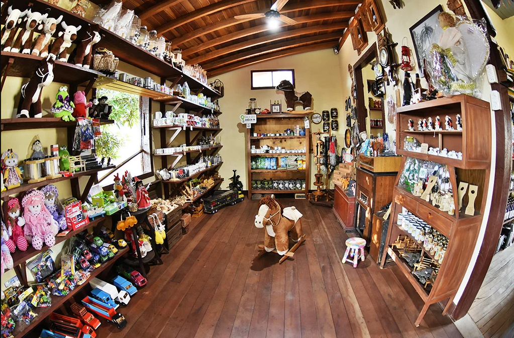 São Carlos e Brotas com Fazenda de Queijos: Cultura, Natureza e Sabores do Interior | Rodoviário