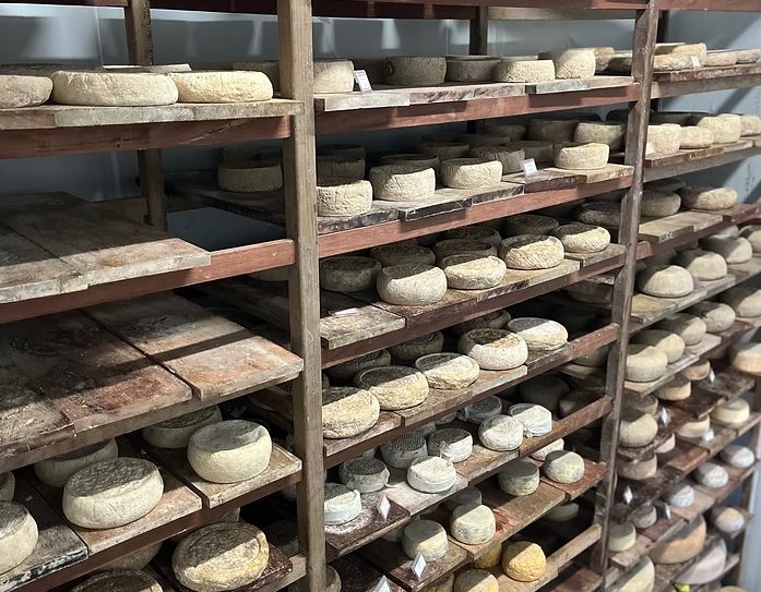 São Carlos e Brotas com Fazenda de Queijos: Cultura, Natureza e Sabores do Interior | Rodoviário