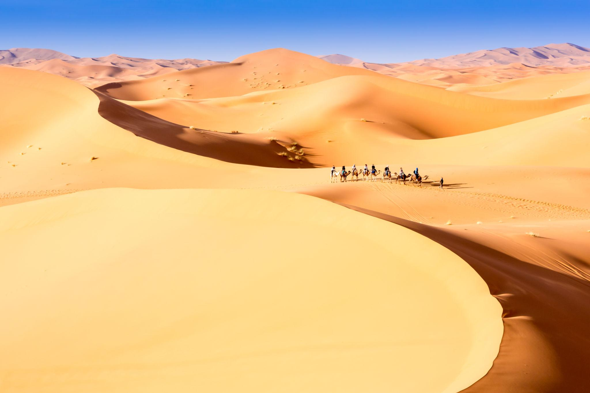 Descubra o Marrocos: uma experiência única com a Tâmega Turismo | Setor Regular