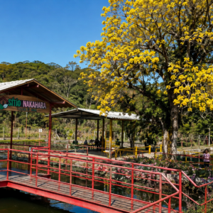 Um Dia Especial no Sítio Nakahara | Passeio de 1 dia